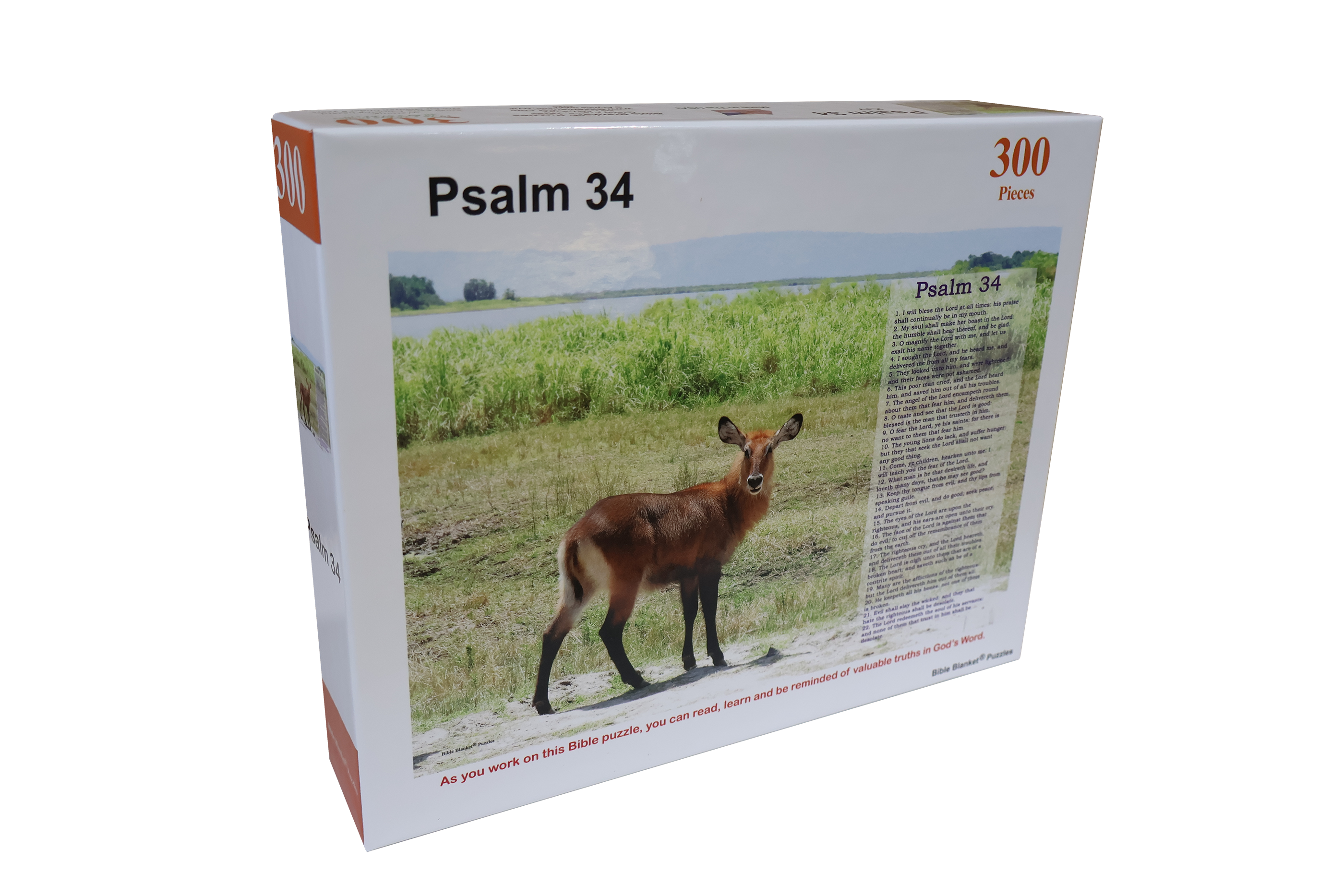 Psalm 34 - 300 Piece Puzzle