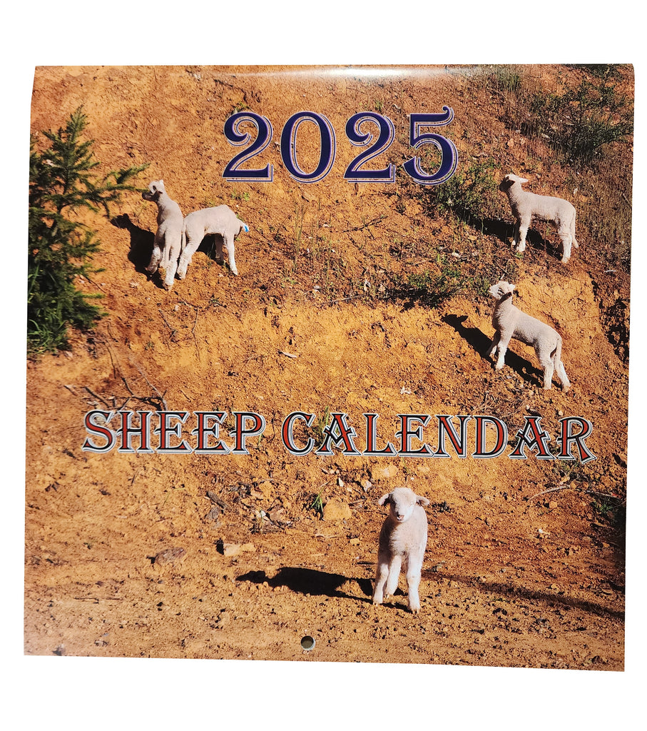 Sheep Wall Calendar - 2025