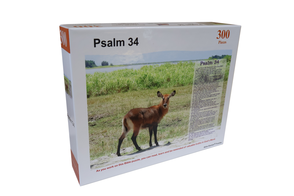 Psalm 34 - 300 Piece Puzzle